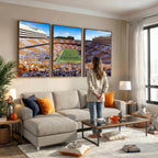 Tennessee Neyland Stadium Wall Art, Sports Arena Canvas, Framed and Ready to Hang