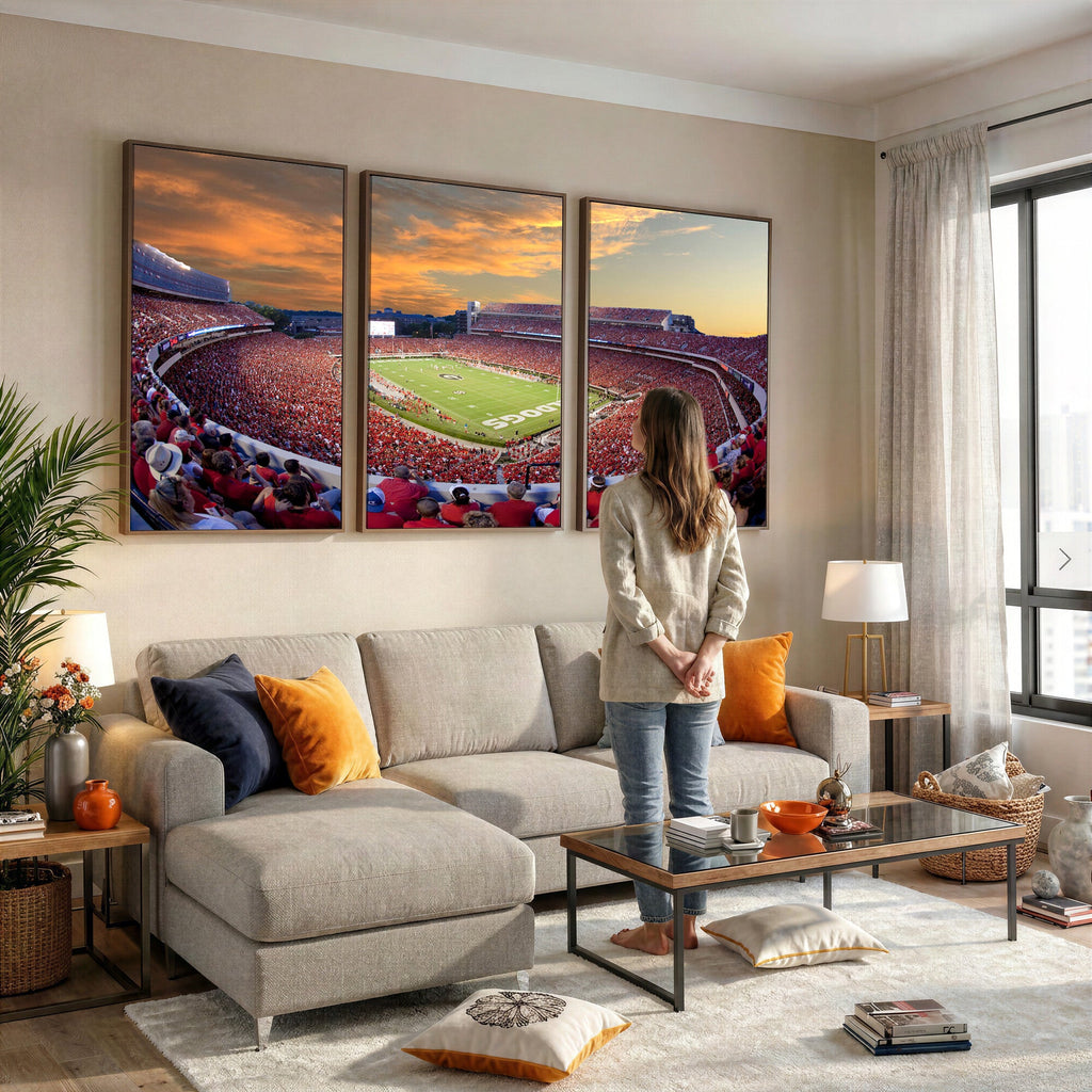Dooley Stadium Wall Art, Sports Arena Canvas Print, Dooley Field, Framed and Ready to Hang