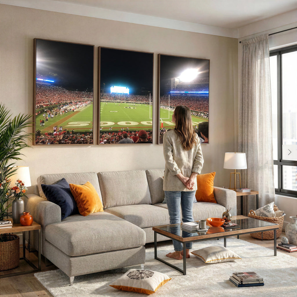 Dooley Stadium Wall Art, Sports Arena Panoramic Canvas