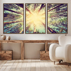 Tree and Sunshine Canvas Print