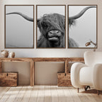 Texas Cow Wall Art Canvas, Texas Longhorn Cattle Canvas Print
