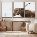 Rustic Bull Wall Art Canvas Print, Modern Longhorn Farmhouse Animal Decor
