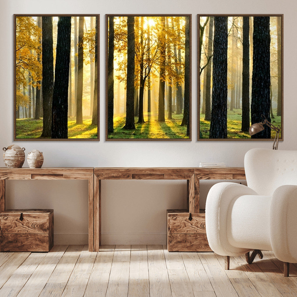 Sunlit Forest Wall Art Canvas Print, Large Framed Woodland Scene with Golden Light
