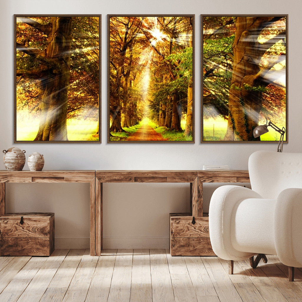 Sunshine in Forest and Trees Wall Art Canvas Print