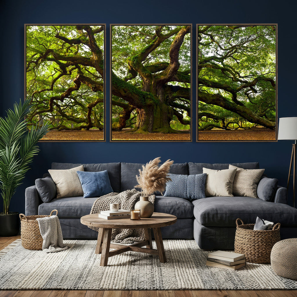 Angel Oak Tree Wall Art Canvas Print | Forest Tree Nature Photography Print