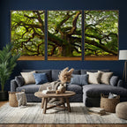 Angel Oak Tree Wall Art Canvas Print | Forest Tree Nature Photography Print