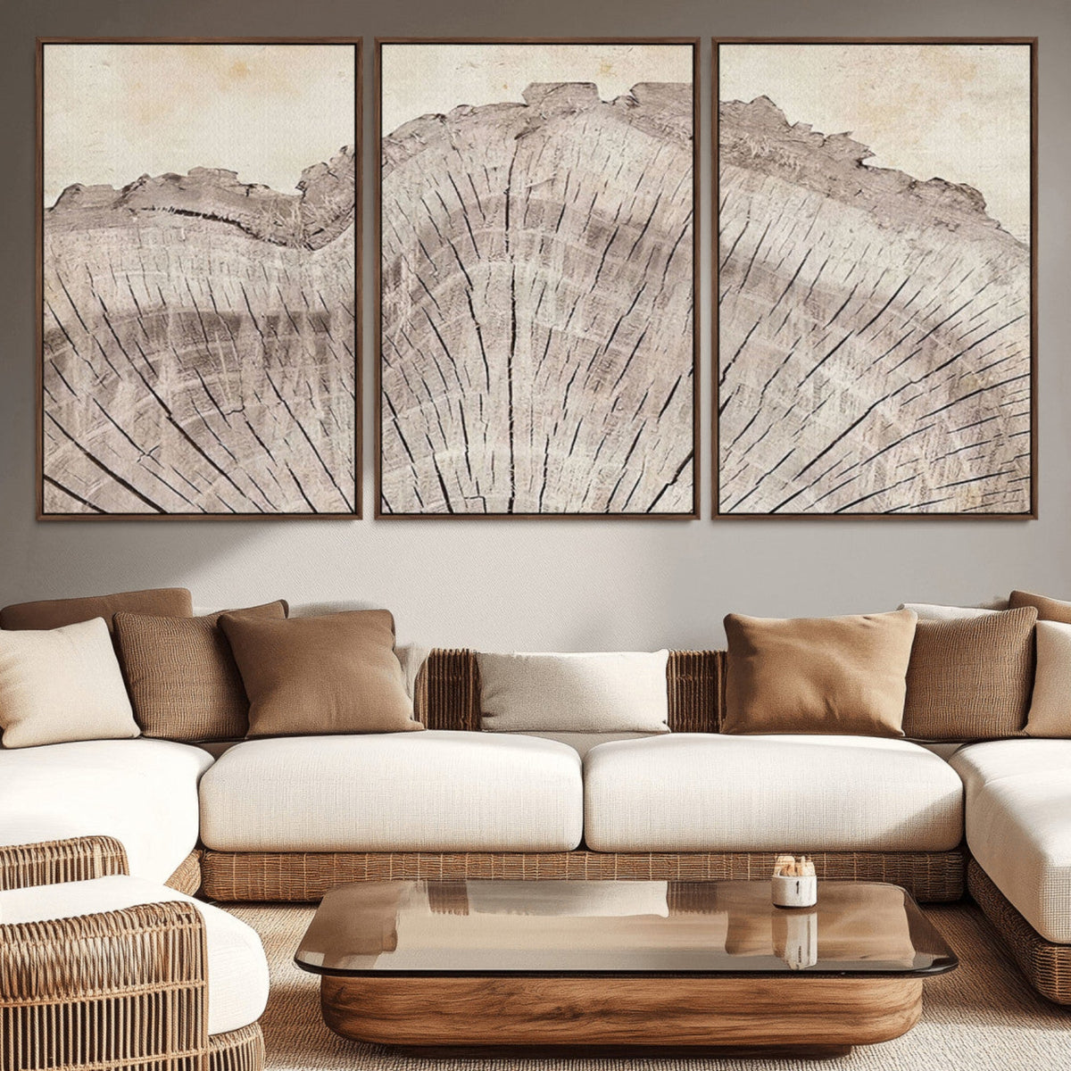Tree Ring Wall Art Triptych, Rustic Wood Ring Canvas Print