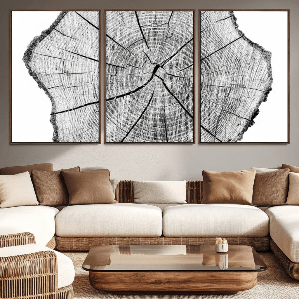 Rustic Tree Ring Wall Art Canvas Print, Framed and Ready to Hang