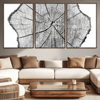 Rustic Tree Ring Wall Art Canvas Print, Framed and Ready to Hang