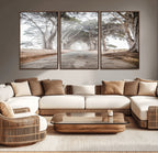Cypress Tunnel Wall Art | Framed Misty Road Canvas Artwork