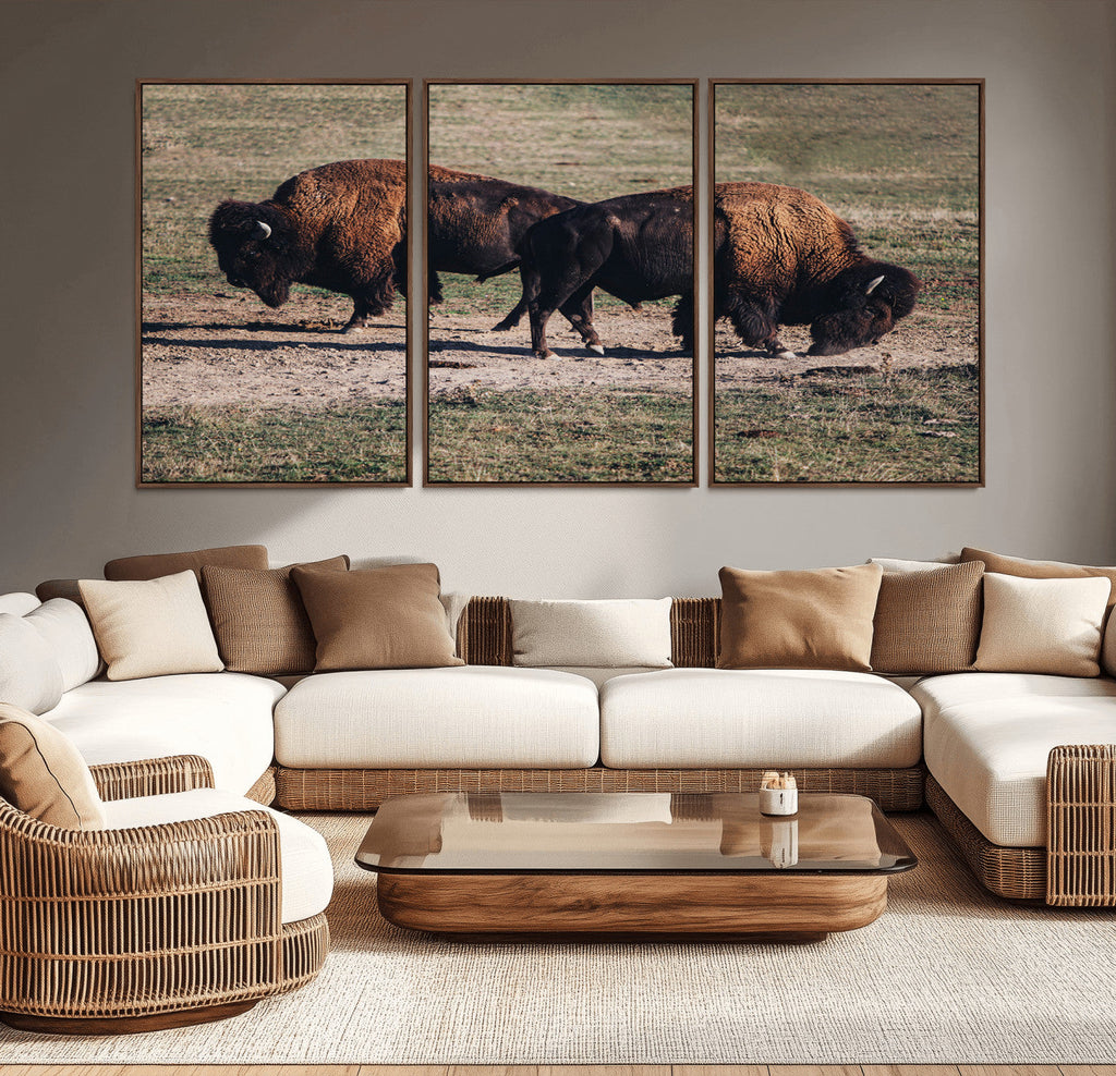 Bison Wall Art Canvas Print, Framed Western Wildlife Modern Ranch