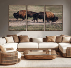 Bison Wall Art Canvas Print, Framed Western Wildlife Modern Ranch
