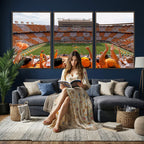 Tennessee Neyland Stadium Wall Art, Sports Arena Canvas, Home Bar Wall Decor