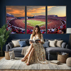 Dooley Stadium Wall Art, Sports Arena Canvas Print, Dooley Field, Framed and Ready to Hang
