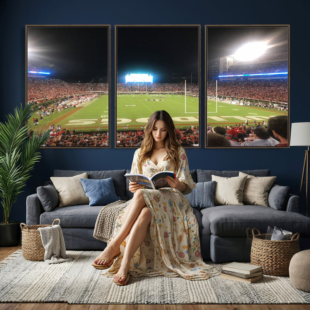 Dooley Stadium Wall Art, Sports Arena Panoramic Canvas