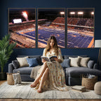 Boise State Broncos Albertsons Stadium Wall Art Canvas Print