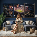 Oklahoma Memorial Stadium, Gaylord Memorial Stadium Wall Art