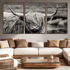 Cow Focus Canvas Wall Art Print