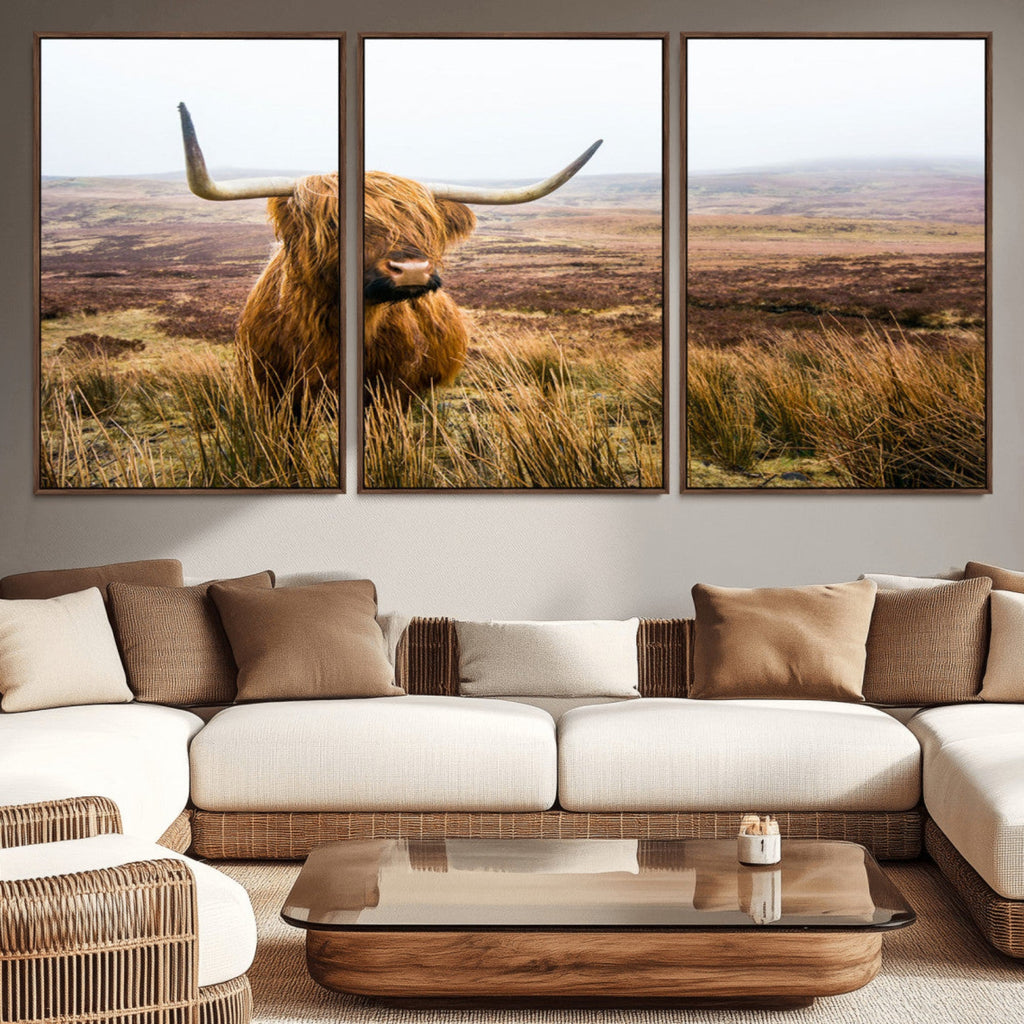 Scottish Highland Cow Canvas Wall Art, Rustic Farmhouse Decor