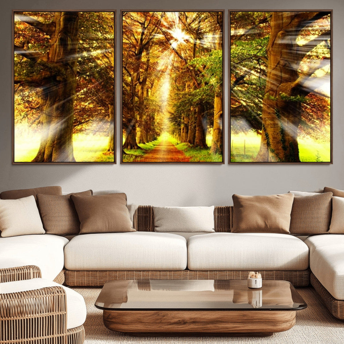 Sunshine in Forest and Trees Wall Art Canvas Print