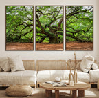 Majestic Oak Tree Wall Art Canvas Print | Ancient Branches