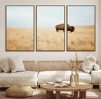 Buffalo Wall Art Canvas Print, Framed Western Wildlife Rustic Prairie Scene