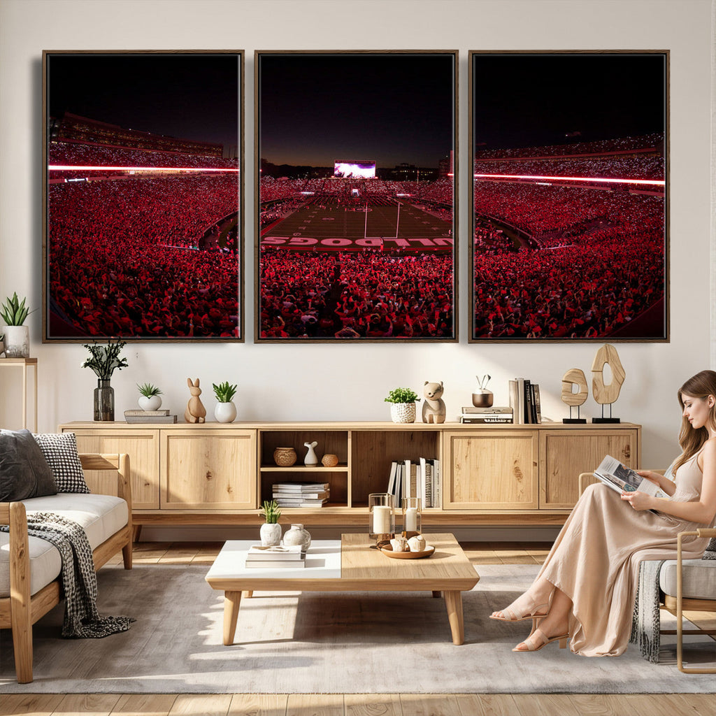 Dooley Stadium Wall Art, Sports Arena Canvas Print, Dooley Field Sanford Stadium