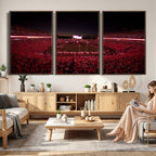 Dooley Stadium Wall Art, Sports Arena Canvas Print, Dooley Field Sanford Stadium