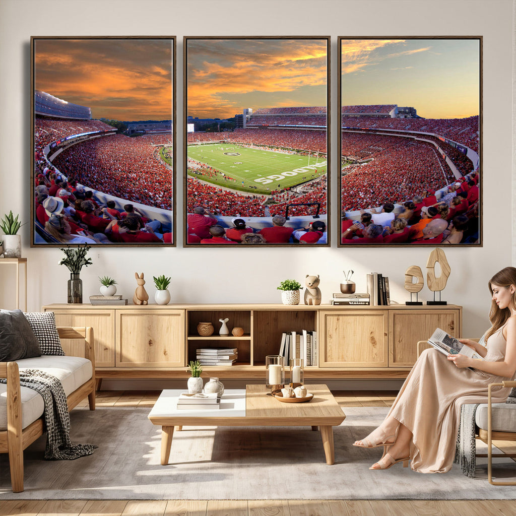 Dooley Stadium Wall Art, Sports Arena Canvas Print, Dooley Field, Framed and Ready to Hang