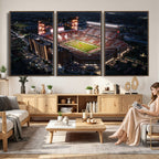 Oklahoma Memorial Stadium, Gaylord Memorial Stadium Wall Art