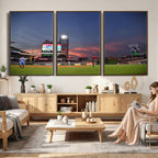 Philadelphia Phillies Baseball Print, Philadelphia Citizens Bank Park Stadium Wall Art