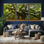 Angel Oak Tree Wall Art Canvas Print | Forest Tree Nature Photography Print