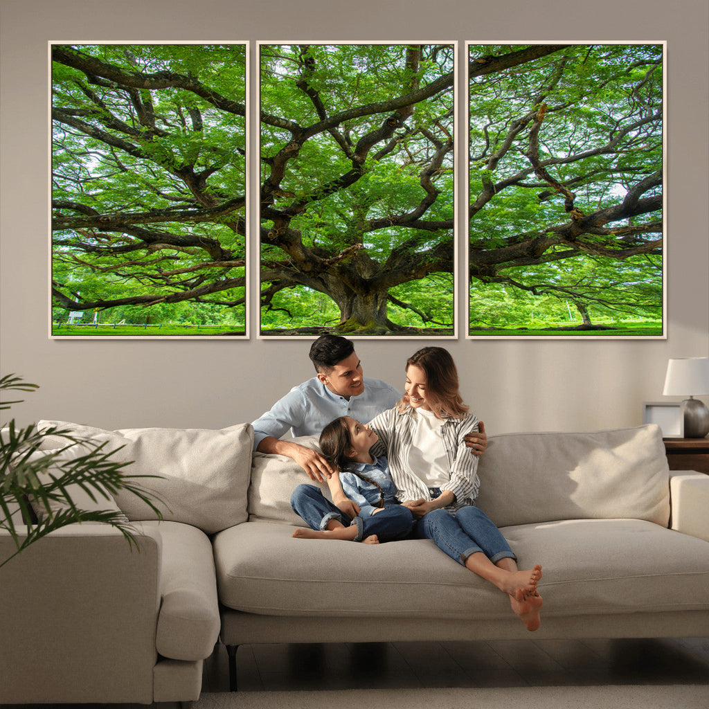 Ancient Tree Wall Art Canvas Print, Framed Sprawling Branches