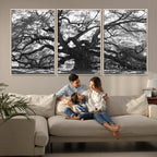 Ancient Oak Wall Art Canvas Print | Gnarled Tree with Twisted Branches