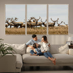 Elk Herd Wall Art Canvas Print, Framed Wildlife Photography Art, Majestic Antlers Rustic Wildlife Decor