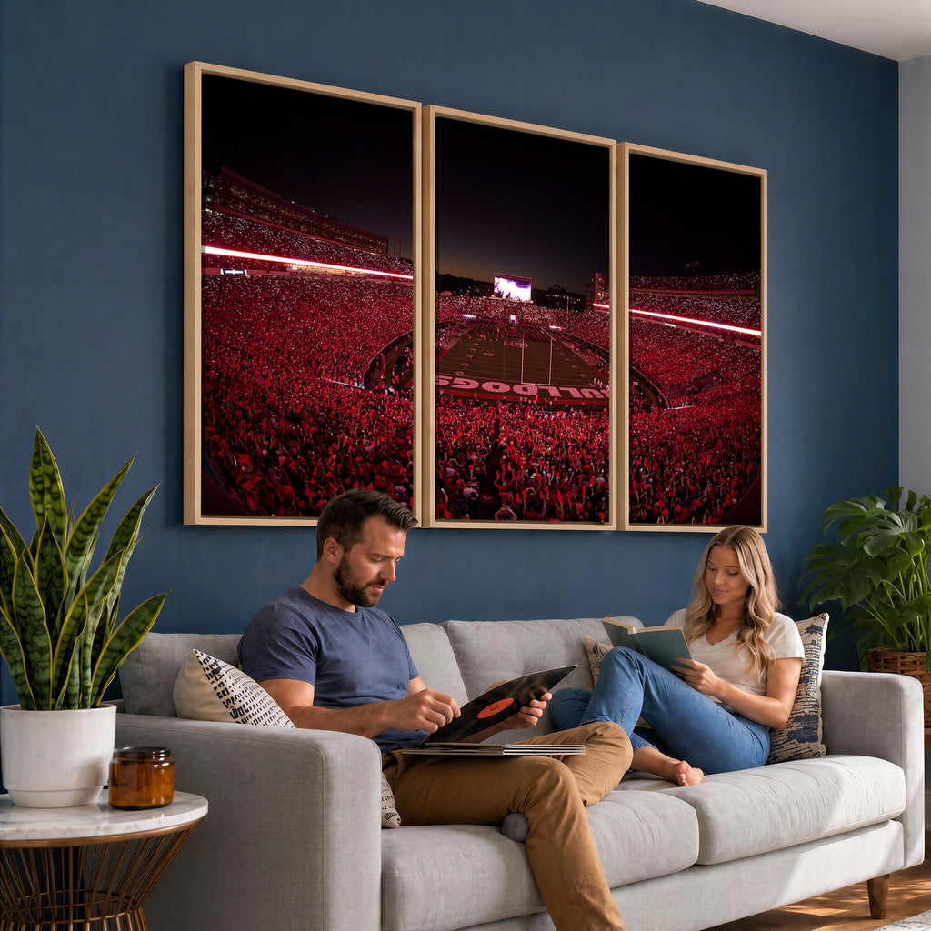 Dooley Stadium Wall Art, Sports Arena Canvas Print, Dooley Field Sanford Stadium