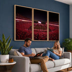 Dooley Stadium Wall Art, Sports Arena Canvas Print, Dooley Field Sanford Stadium