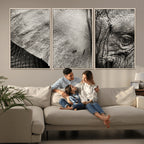 Elephant Wall Art Canvas Print