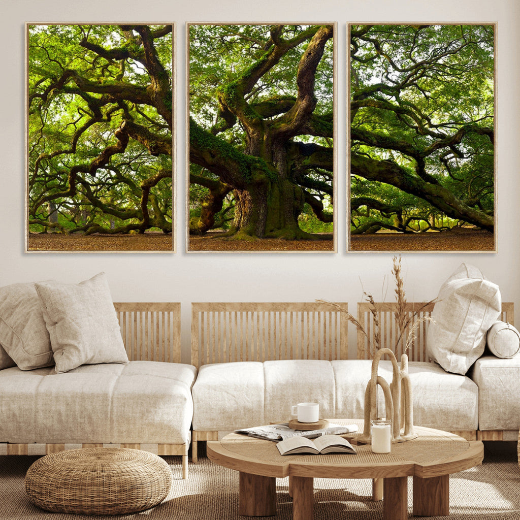 Angel Oak Tree Wall Art Canvas Print | Forest Tree Nature Photography Print