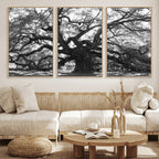 Ancient Oak Wall Art Canvas Print | Gnarled Tree with Twisted Branches