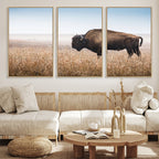 Wild Bison Wall Art | Framed Prairie Landscape Canvas