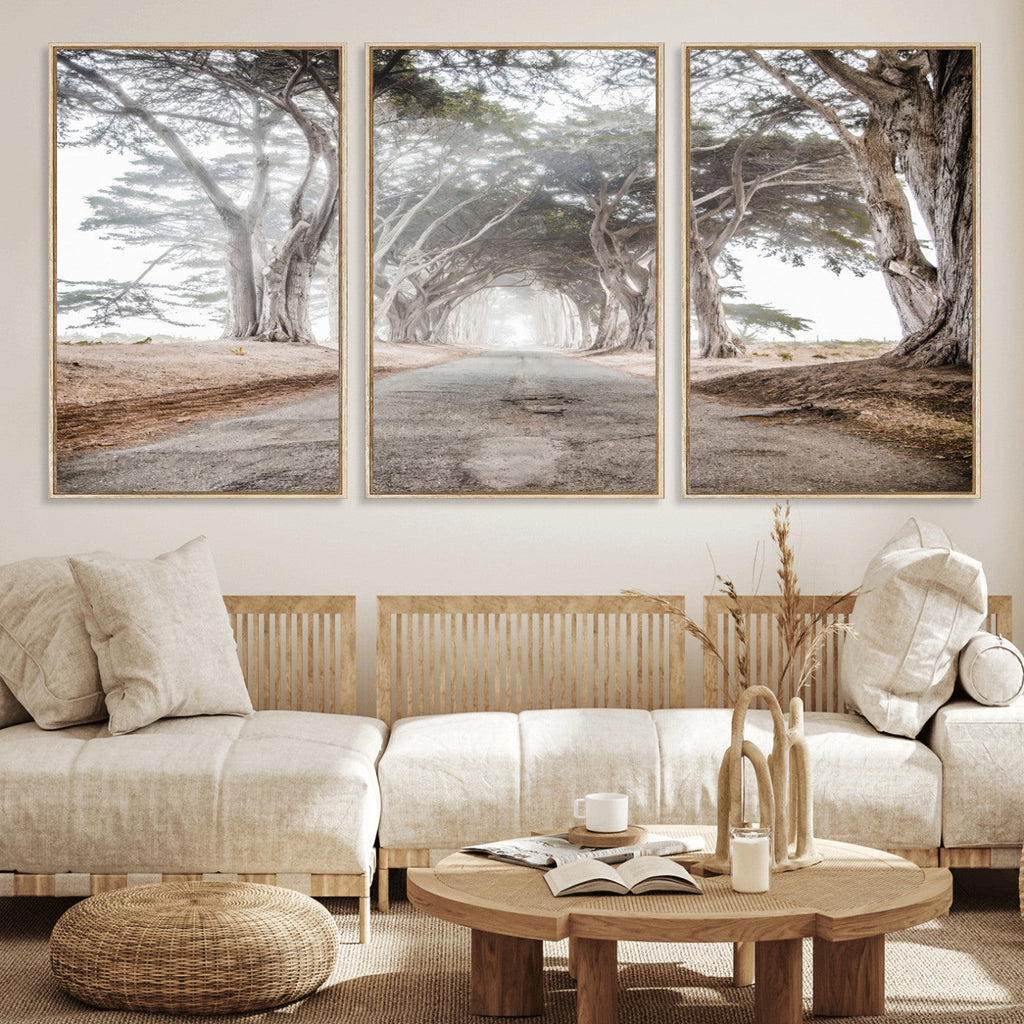 Cypress Tunnel Wall Art | Framed Misty Road Canvas Artwork