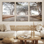 Cypress Tunnel Wall Art | Framed Misty Road Canvas Artwork