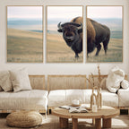 Bison Wall Art Canvas Print, Framed American Buffalo Rustic Western Artwork