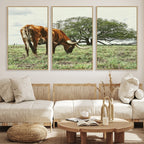 Texas Longhorn Wall Art Canvas Print, Rustic Western Ranch