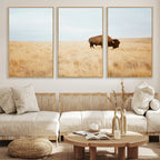 Buffalo Wall Art Canvas Print, Framed Western Wildlife Rustic Prairie Scene
