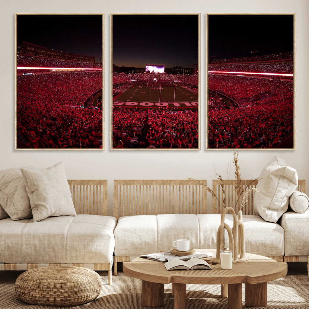 Dooley Stadium Wall Art, Sports Arena Canvas Print, Dooley Field Sanford Stadium