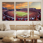 Dooley Stadium Wall Art, Sports Arena Canvas Print, Dooley Field, Framed and Ready to Hang