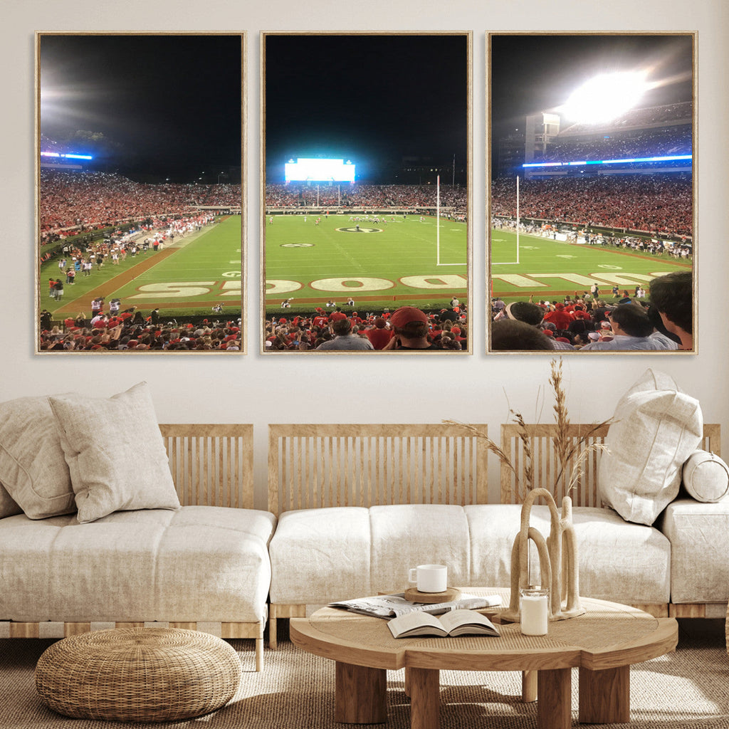 Dooley Stadium Wall Art, Sports Arena Panoramic Canvas