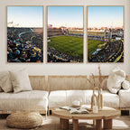 Boca Juniors Soccer Team Print, Buenos Aires Bombonera